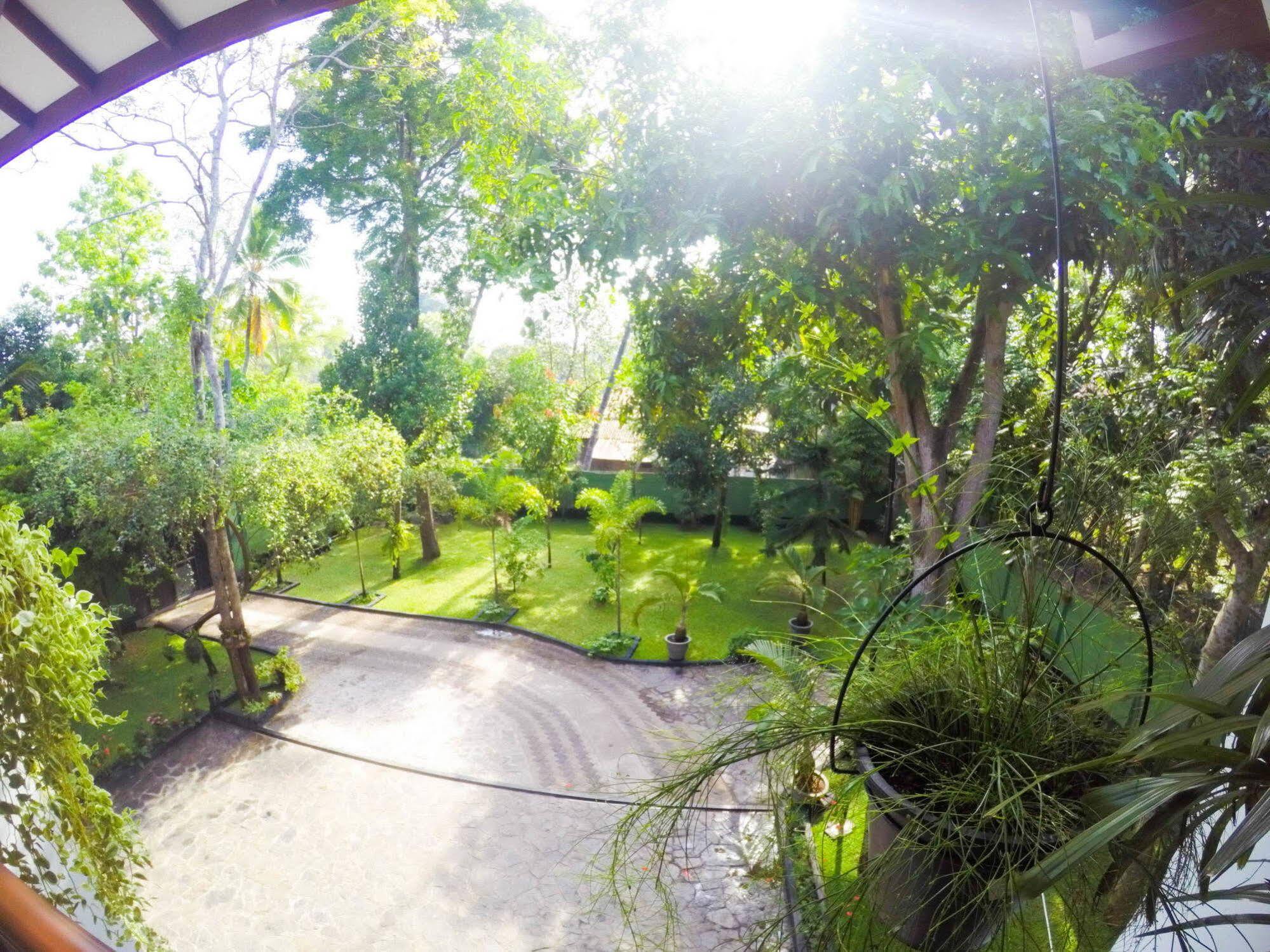 Bed and Breakfast West Dene Negombo Exterior foto